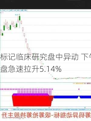 标记临床研究盘中异动 下午盘急速拉升5.14%