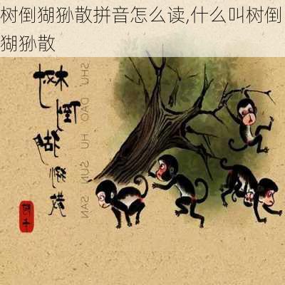 树倒猢狲散拼音怎么读,什么叫树倒猢狲散