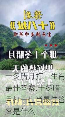 十冬腊月打一生肖最佳答案,十冬腊月打一生肖最佳答案是什么