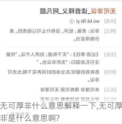 无可厚非什么意思解释一下,无可厚非是什么意思啊?