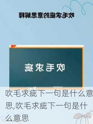 吹毛求疵下一句是什么意思,吹毛求疵下一句是什么意思