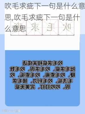 吹毛求疵下一句是什么意思,吹毛求疵下一句是什么意思