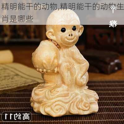 精明能干的动物,精明能干的动物生肖是哪些