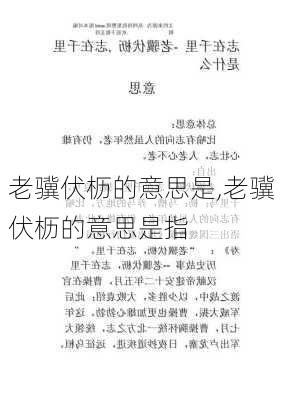 老骥伏枥的意思是,老骥伏枥的意思是指