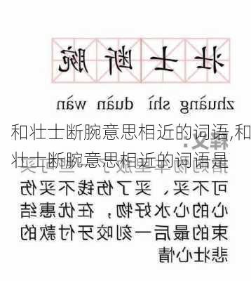 和壮士断腕意思相近的词语,和壮士断腕意思相近的词语是