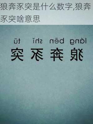 狼奔豕突是什么数字,狼奔豕突啥意思