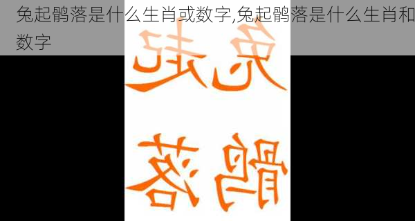 兔起鹘落是什么生肖或数字,兔起鹘落是什么生肖和数字