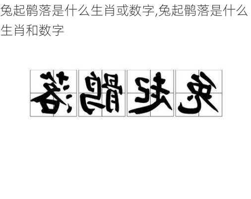 兔起鹘落是什么生肖或数字,兔起鹘落是什么生肖和数字