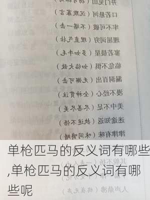 单枪匹马的反义词有哪些,单枪匹马的反义词有哪些呢