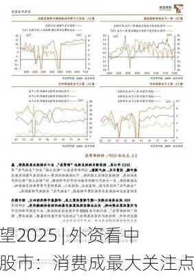 展望2025 | 外资看中国股市：消费成最大关注点