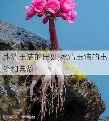 冰清玉洁的出处,冰清玉洁的出处和典故