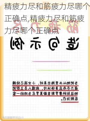 精疲力尽和筋疲力尽哪个正确点,精疲力尽和筋疲力尽哪个正确点