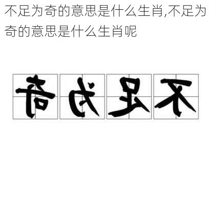 不足为奇的意思是什么生肖,不足为奇的意思是什么生肖呢