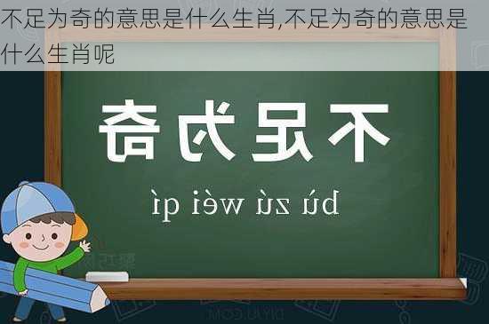 不足为奇的意思是什么生肖,不足为奇的意思是什么生肖呢