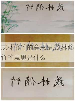 茂林修竹的意思是,茂林修竹的意思是什么