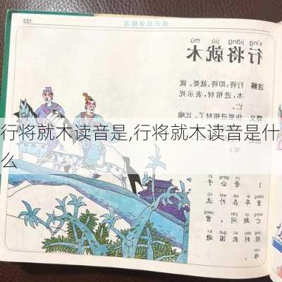 行将就木读音是,行将就木读音是什么