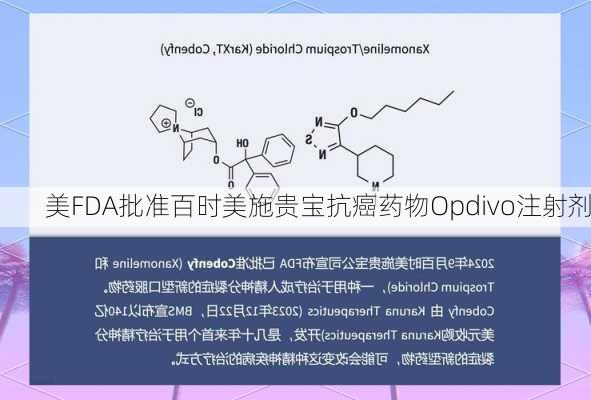 美FDA批准百时美施贵宝抗癌药物Opdivo注射剂